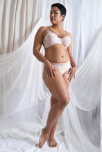 Load image into Gallery viewer, Venus Brief